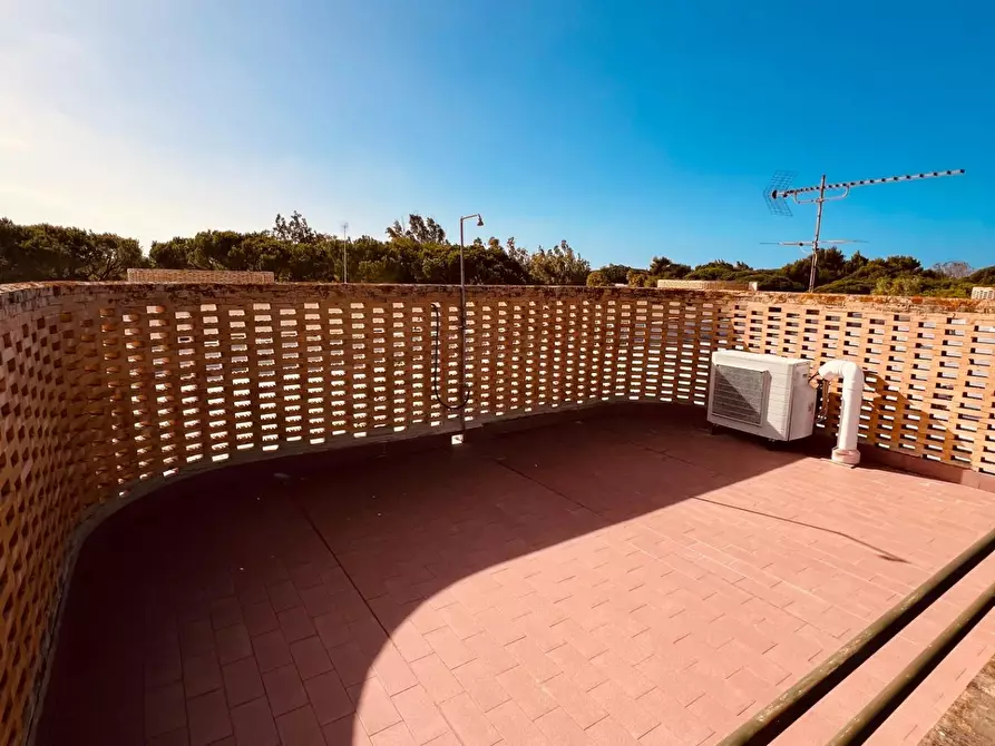 Immagine 6 di Appartamento in vendita  a Bibbona