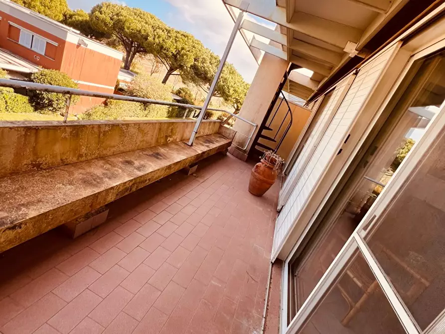 Immagine 4 di Appartamento in vendita  a Bibbona