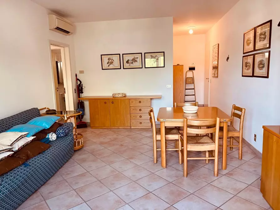 Immagine 2 di Appartamento in vendita  a Bibbona