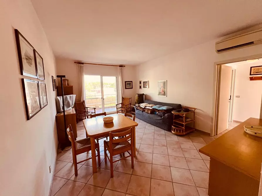 Immagine 3 di Appartamento in vendita  a Bibbona