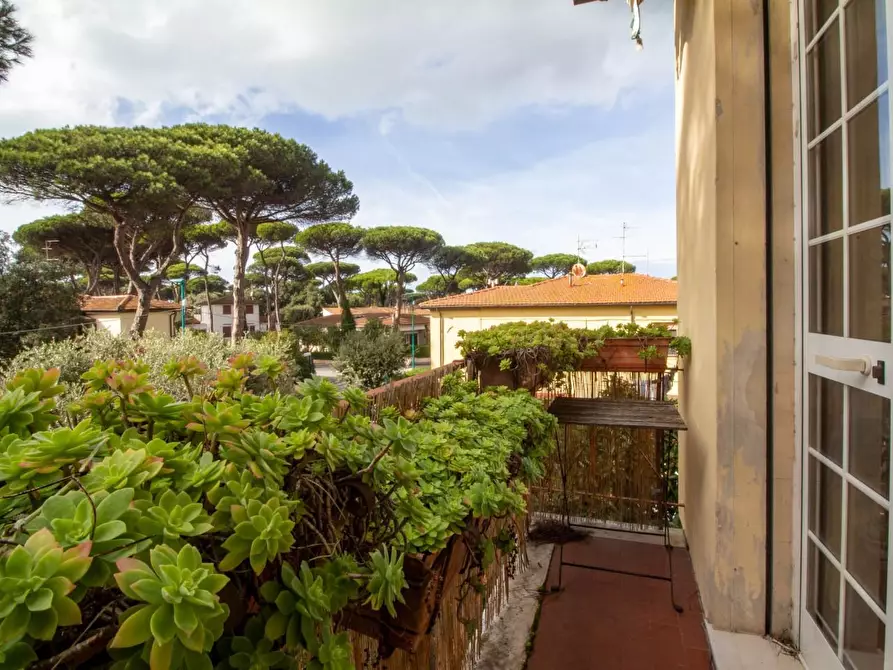 Immagine 5 di Appartamento in vendita  a Pisa