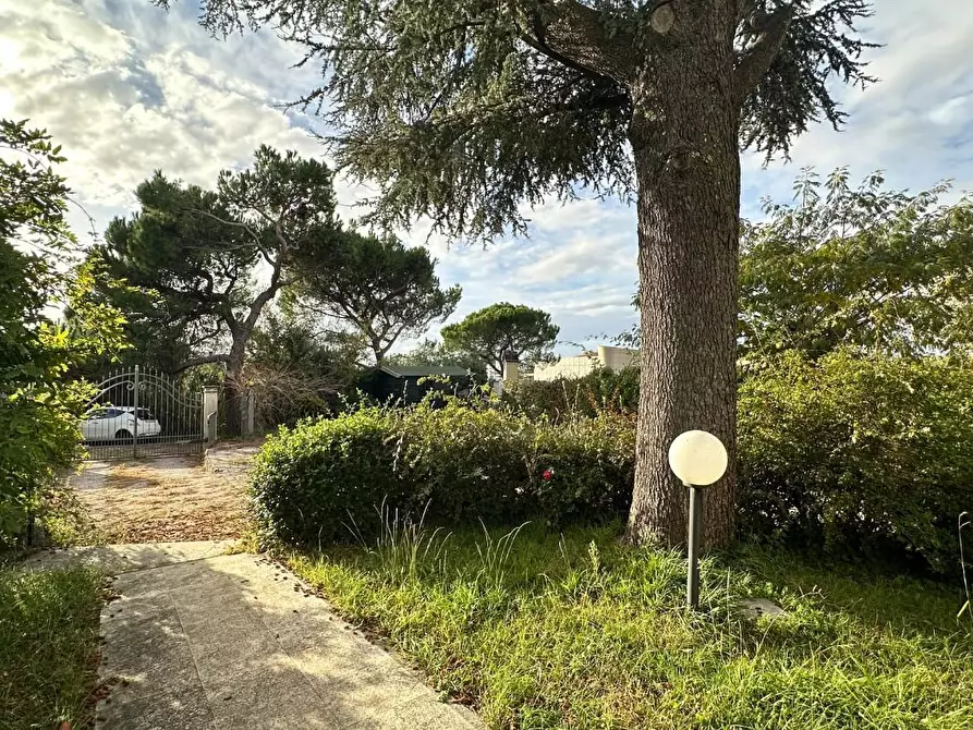 Immagine 3 di Appartamento in vendita  a Casciana Terme Lari