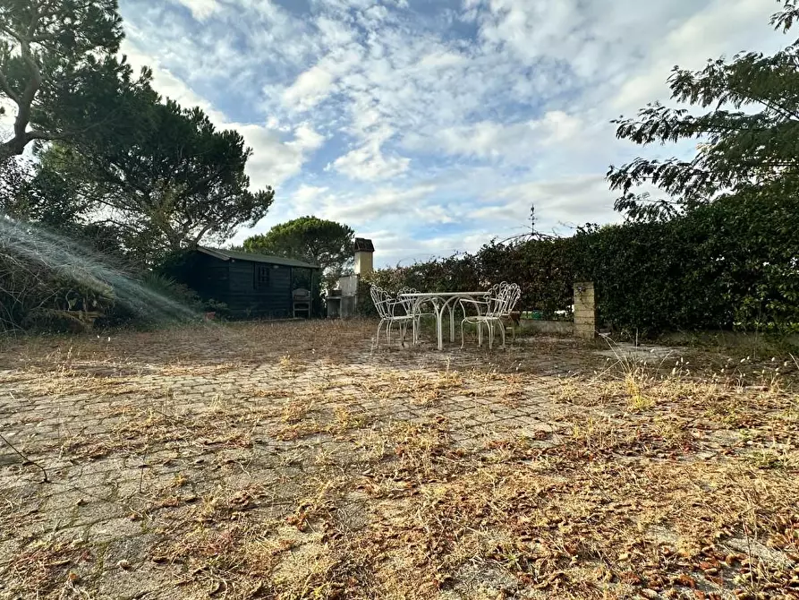 Immagine 42 di Appartamento in vendita  a Casciana Terme Lari