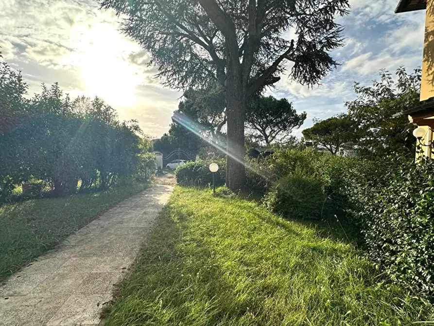 Immagine 34 di Appartamento in vendita  a Casciana Terme Lari