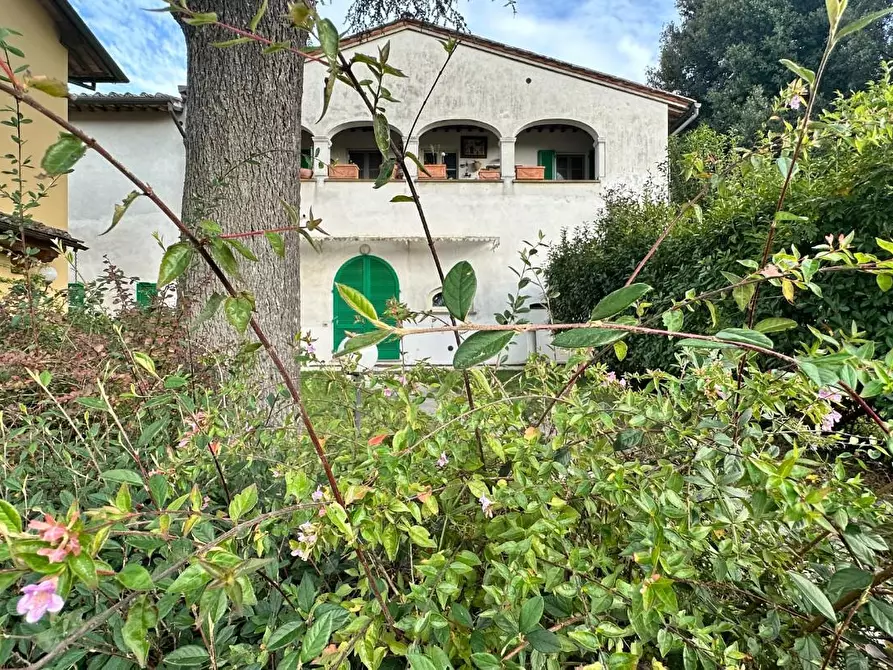 Immagine 25 di Appartamento in vendita  a Casciana Terme Lari