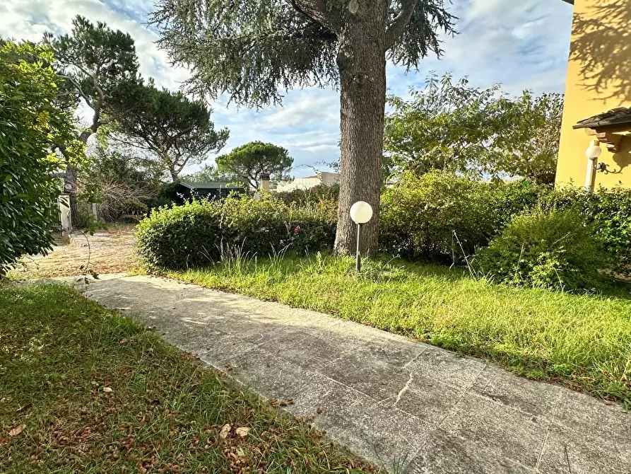 Immagine 39 di Appartamento in vendita  a Casciana Terme Lari