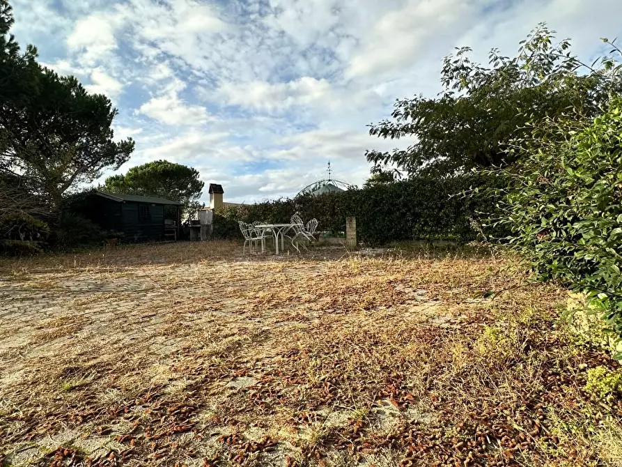 Immagine 40 di Appartamento in vendita  a Casciana Terme Lari