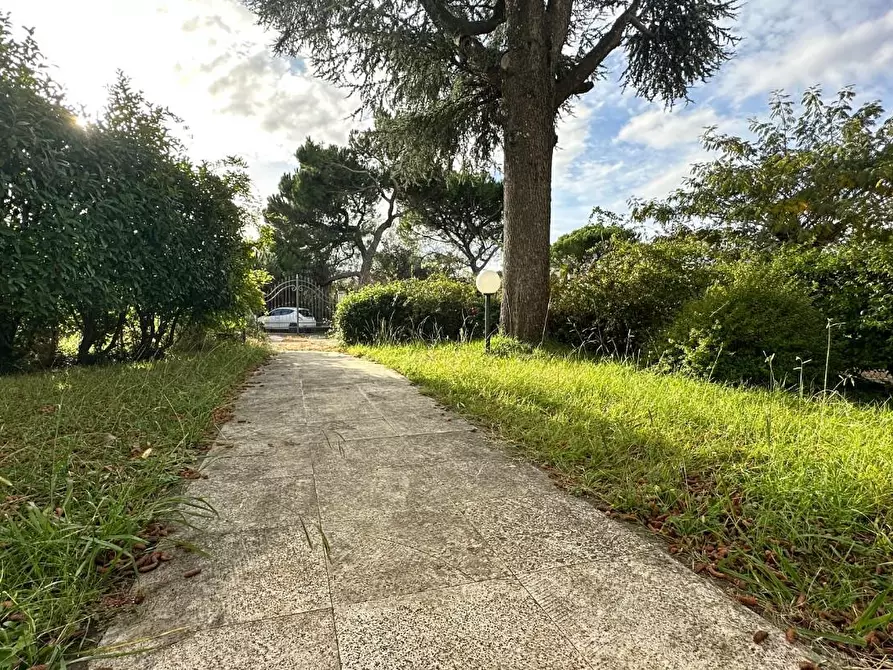 Immagine 38 di Appartamento in vendita  a Casciana Terme Lari