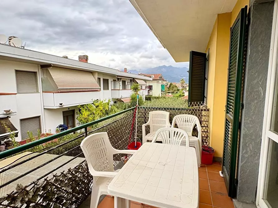 Immagine 4 di Appartamento in vendita  a Massa