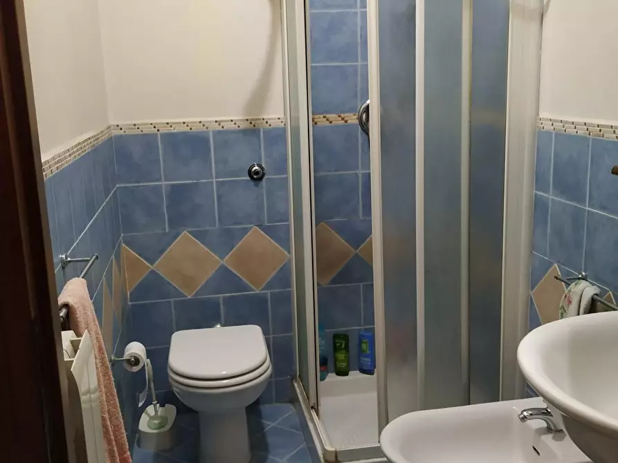 Immagine 5 di Appartamento in affitto  a Pisa