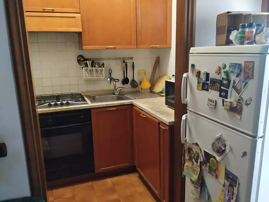 Immagine 7 di Appartamento in affitto  a Pisa