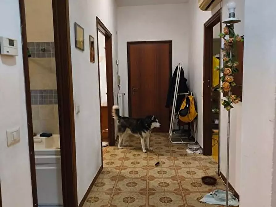 Immagine 12 di Appartamento in vendita  a Carrara