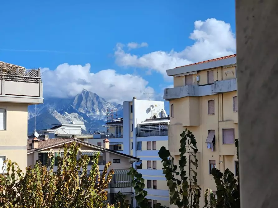 Immagine 3 di Appartamento in vendita  a Carrara