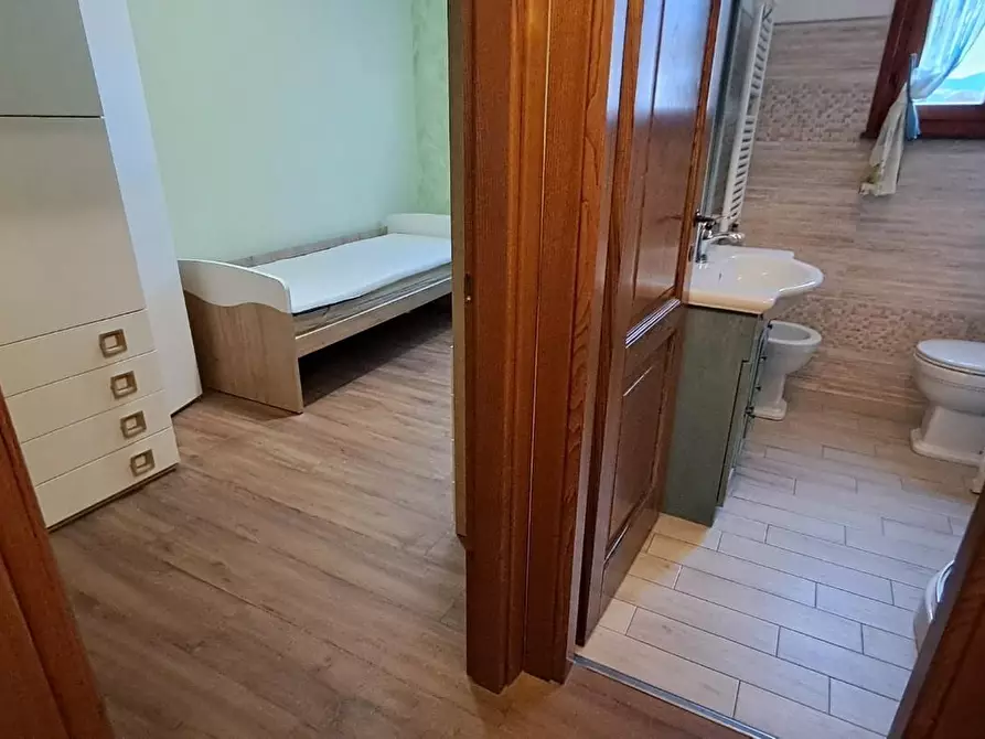 Immagine 15 di Appartamento in vendita  a Castagneto Carducci