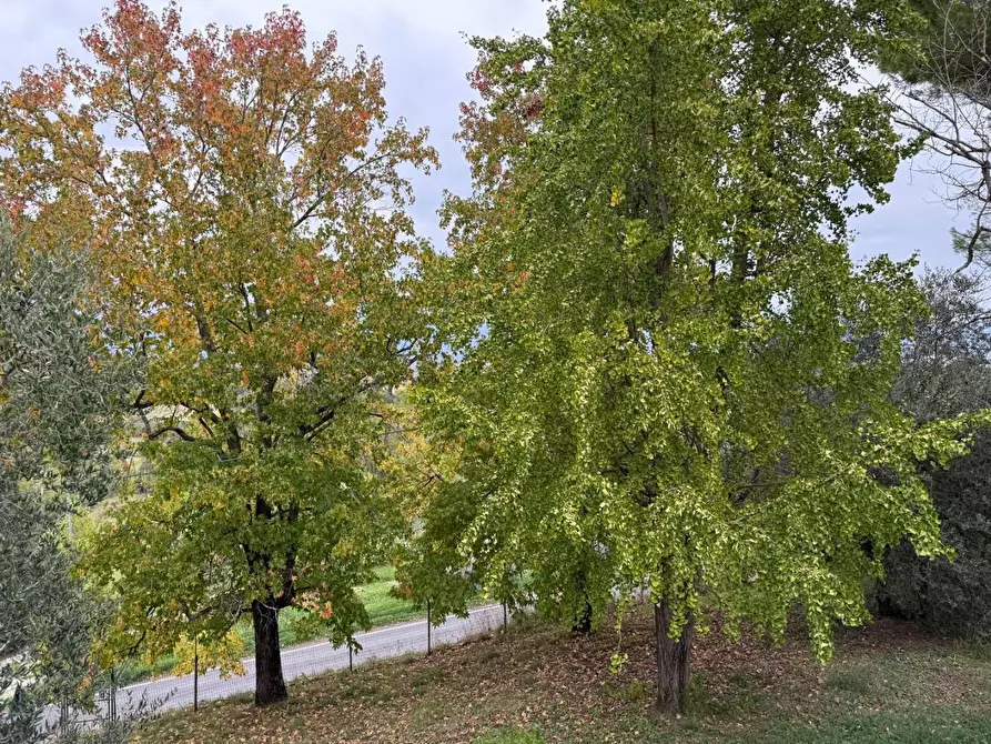 Immagine 45 di Casa bifamiliare in vendita  a Fucecchio