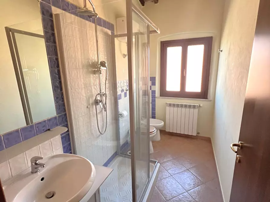 Immagine 16 di Appartamento in vendita  a Calcinaia