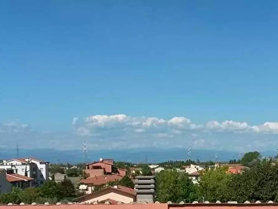 Immagine 8 di Appartamento in vendita  a Calcinaia