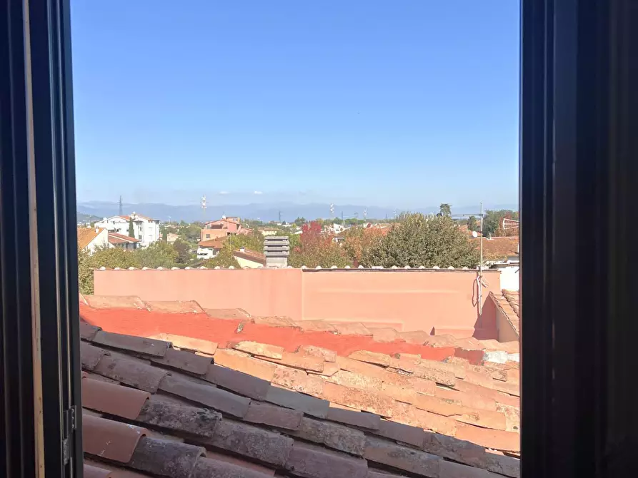 Immagine 6 di Appartamento in vendita  a Calcinaia