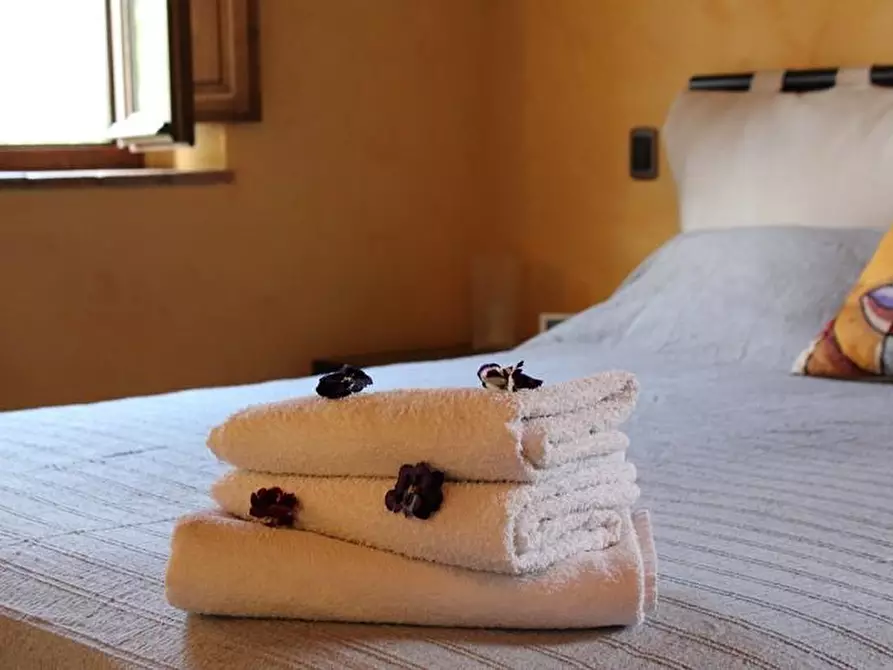 Immagine 8 di Rustico / casale in vendita  a Capannori