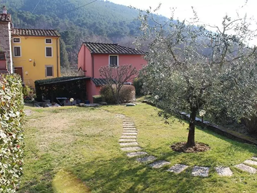 Immagine 18 di Rustico / casale in vendita  a Capannori