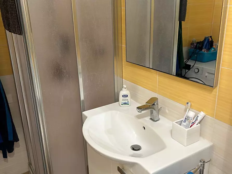 Immagine 7 di Appartamento in vendita  a Bibbona