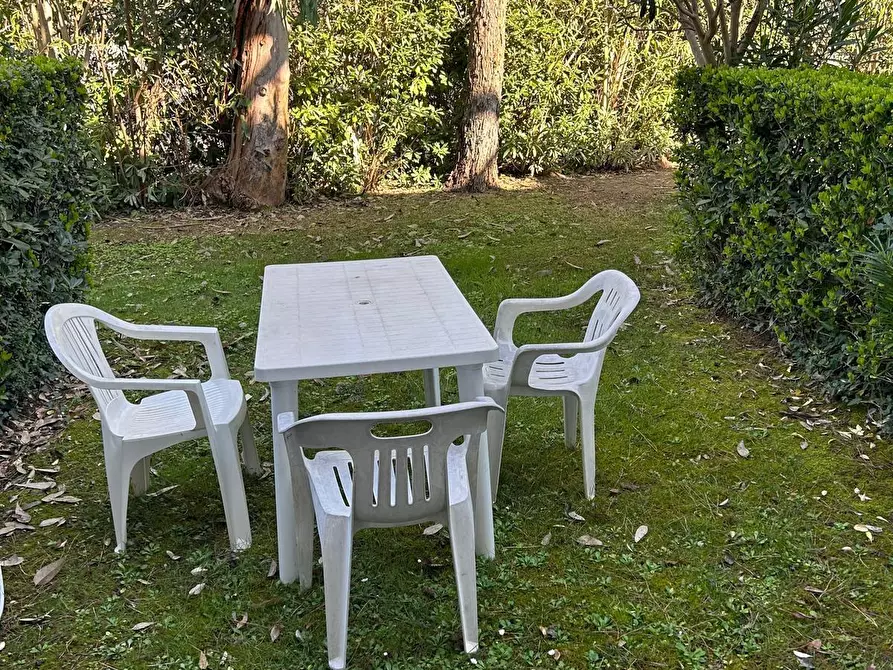 Immagine 9 di Appartamento in vendita  a Bibbona