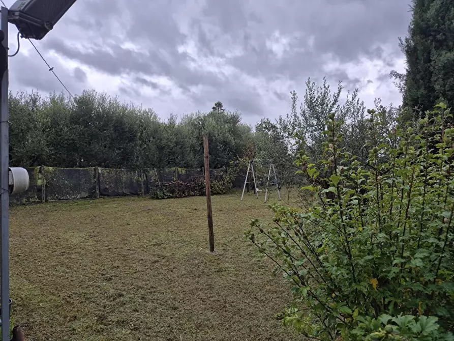 Immagine 34 di Terratetto in vendita  a Capannori