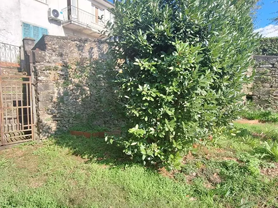 Immagine 1 di Terratetto in vendita  a Barga