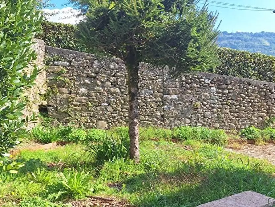 Immagine 4 di Terratetto in vendita  a Barga