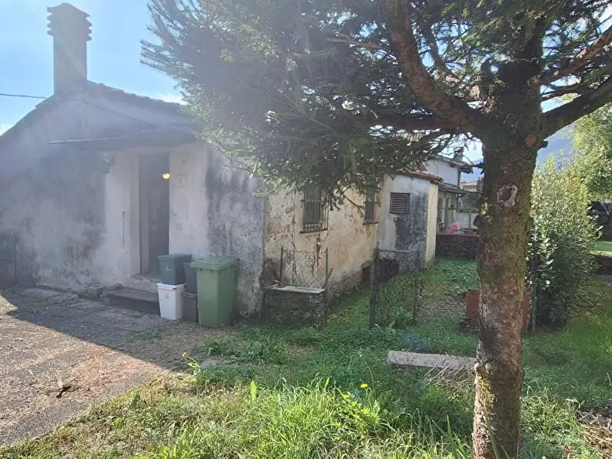 Immagine 3 di Terratetto in vendita  a Barga