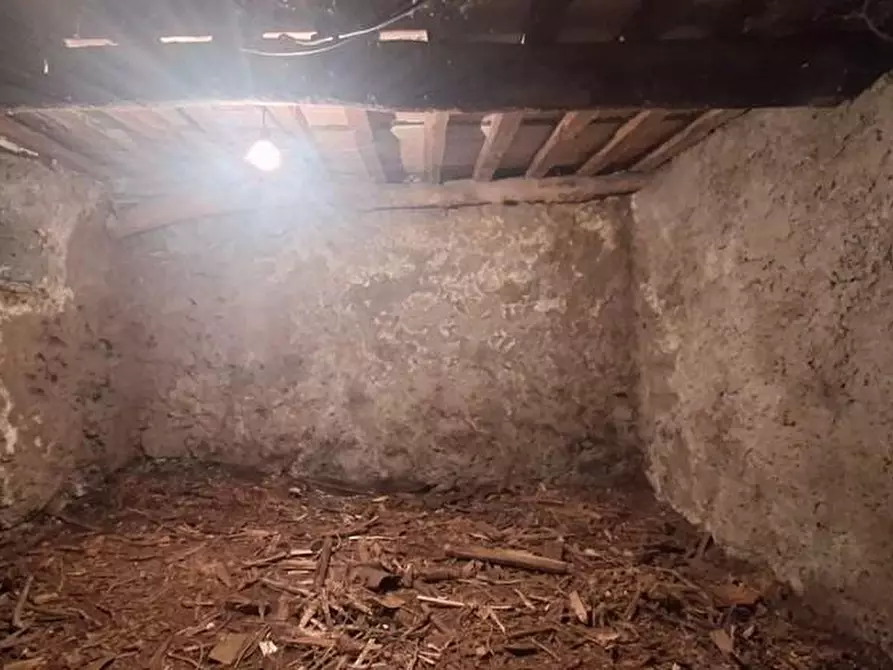 Immagine 18 di Terratetto in vendita  a Barga