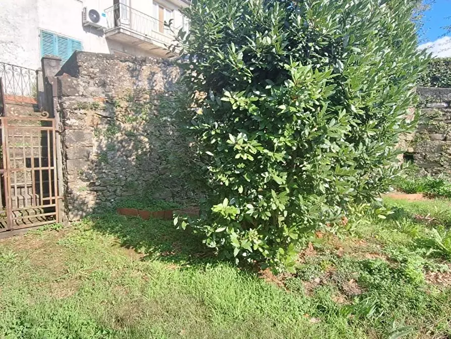 Immagine 2 di Terratetto in vendita  a Barga