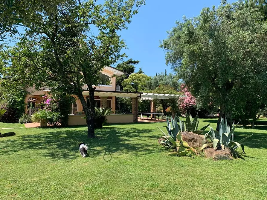 Immagine 8 di Villa in vendita  a Pietrasanta