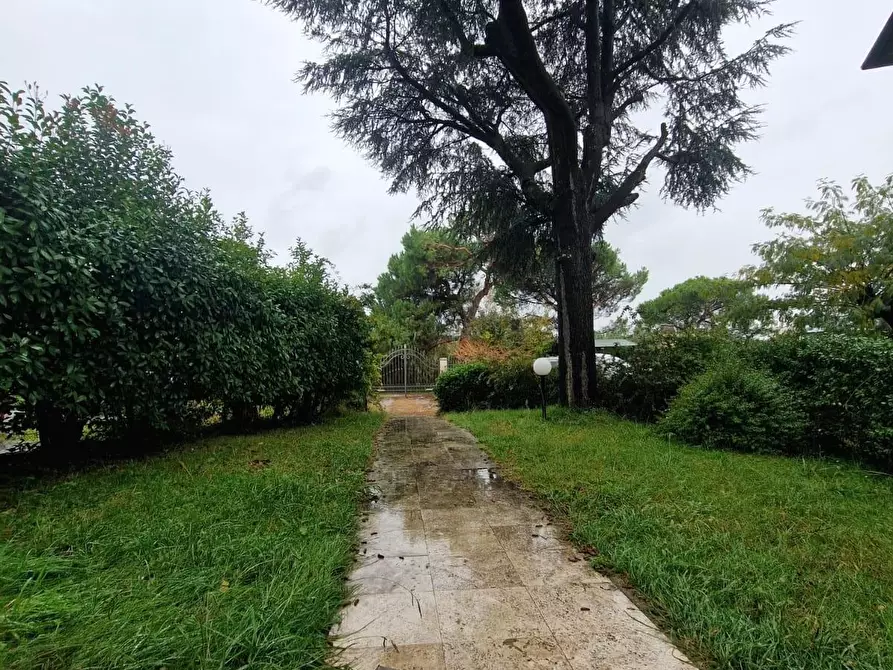 Immagine 15 di Appartamento in vendita  a Casciana Terme Lari