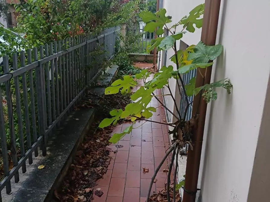 Immagine 12 di Casa indipendente in vendita  a Santa Maria A Monte