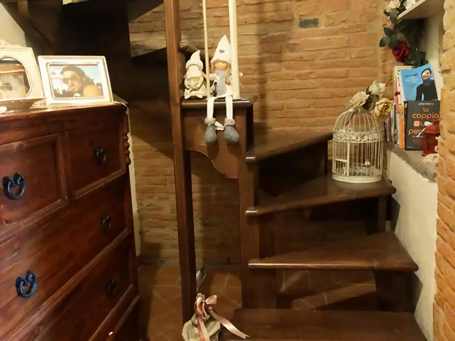 Immagine 18 di Terratetto in vendita  a Terricciola