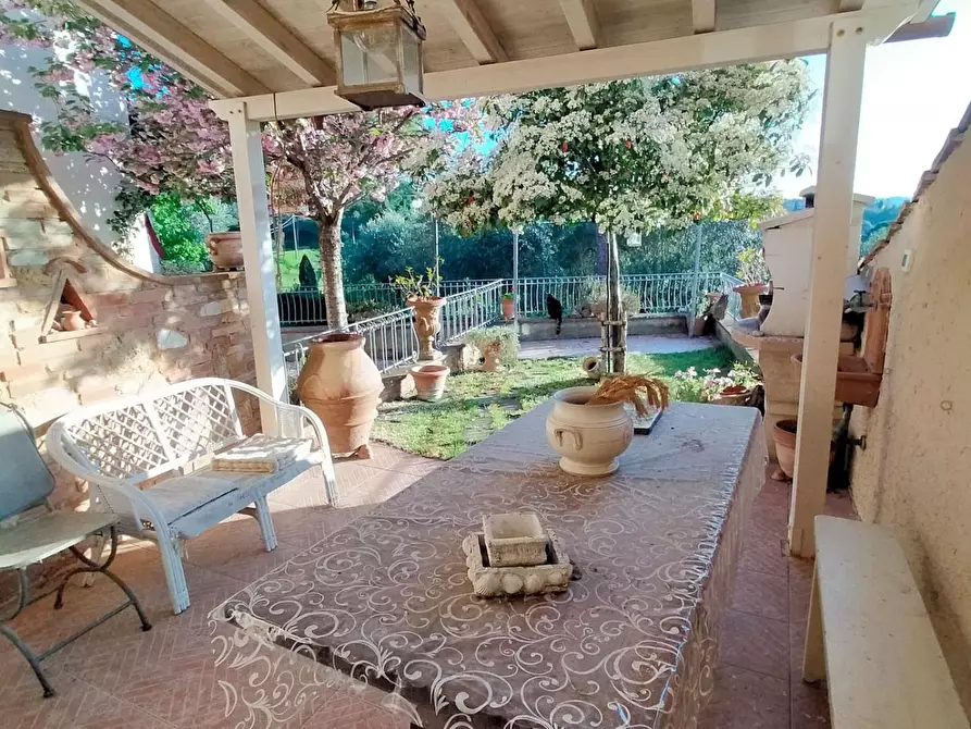 Immagine 4 di Terratetto in vendita  a Terricciola