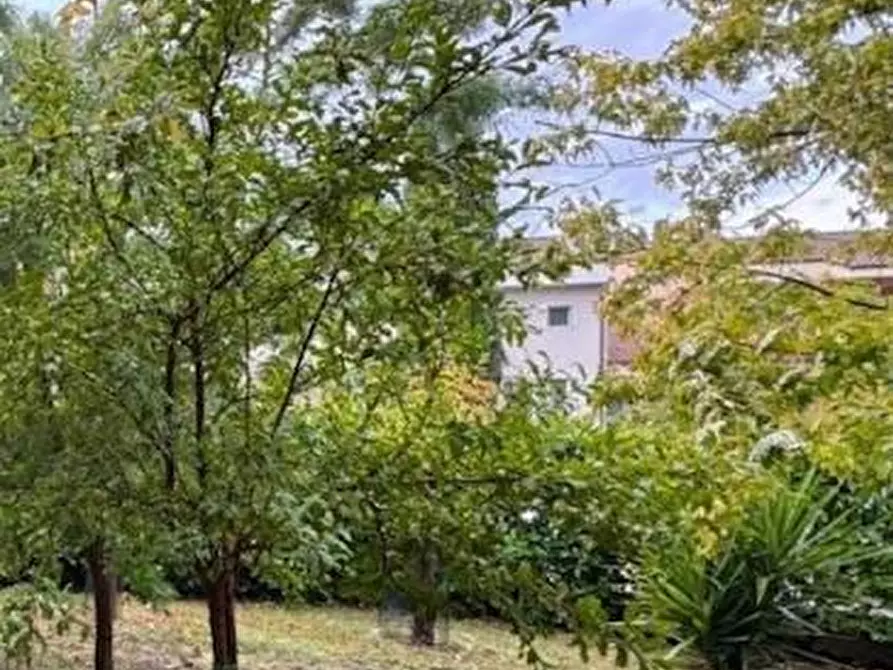 Immagine 22 di Casa bifamiliare in vendita  a Capraia E Limite