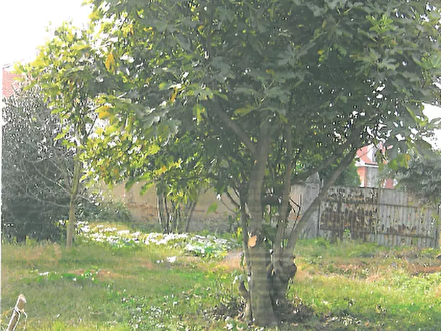 Immagine 4 di Appartamento in vendita  a San Francesco Al Campo