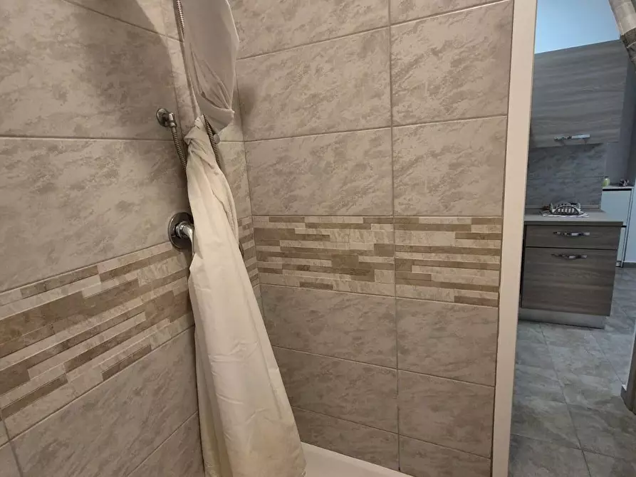 Immagine 11 di Appartamento in affitto  a Pisa