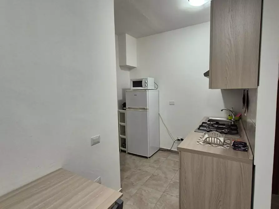 Immagine 16 di Appartamento in affitto  a Pisa