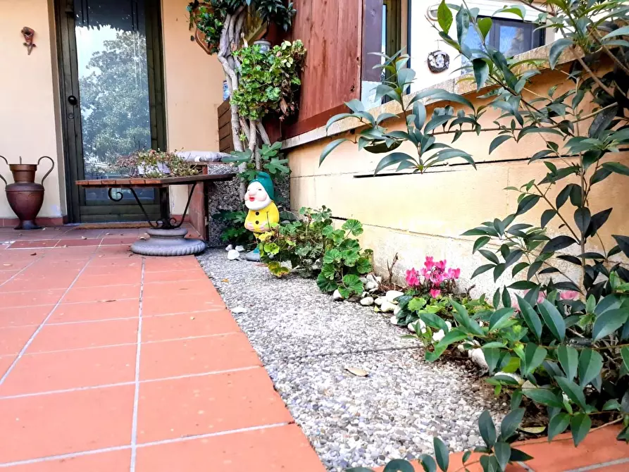 Immagine 5 di Appartamento in vendita  a Calcinaia