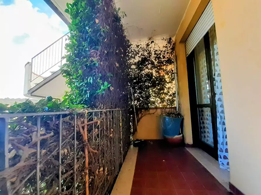 Immagine 33 di Appartamento in vendita  a Calcinaia