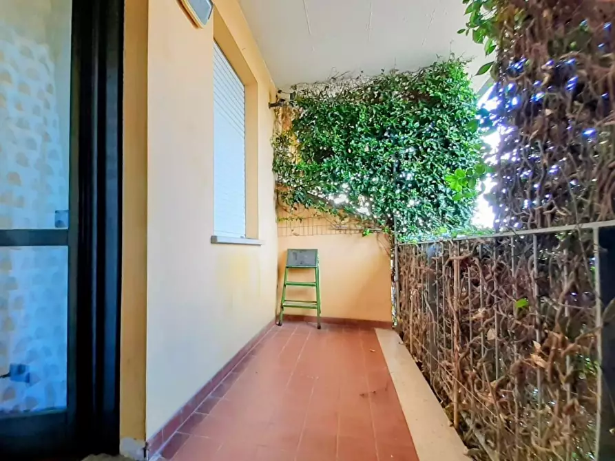 Immagine 34 di Appartamento in vendita  a Calcinaia