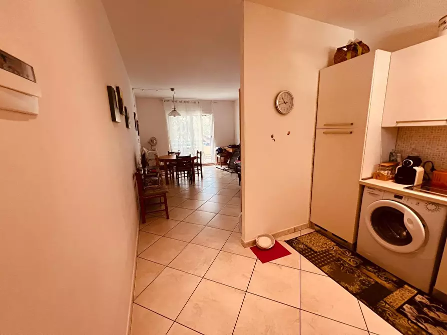 Immagine 4 di Appartamento in vendita  a Bibbona