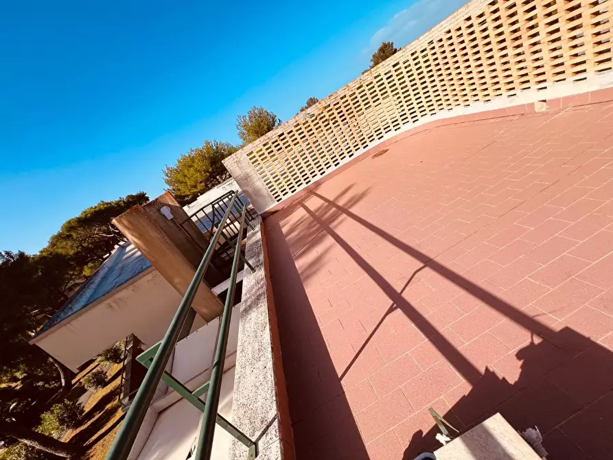 Immagine 16 di Appartamento in vendita  a Bibbona