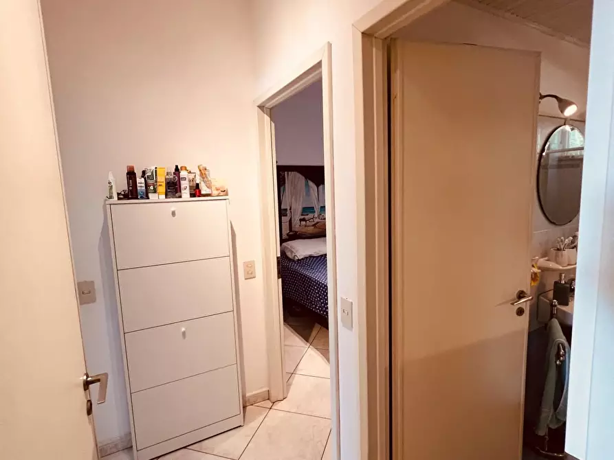 Immagine 5 di Appartamento in vendita  a Bibbona