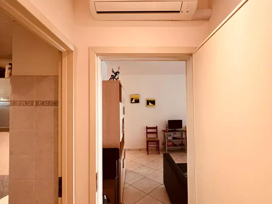 Immagine 9 di Appartamento in vendita  a Bibbona