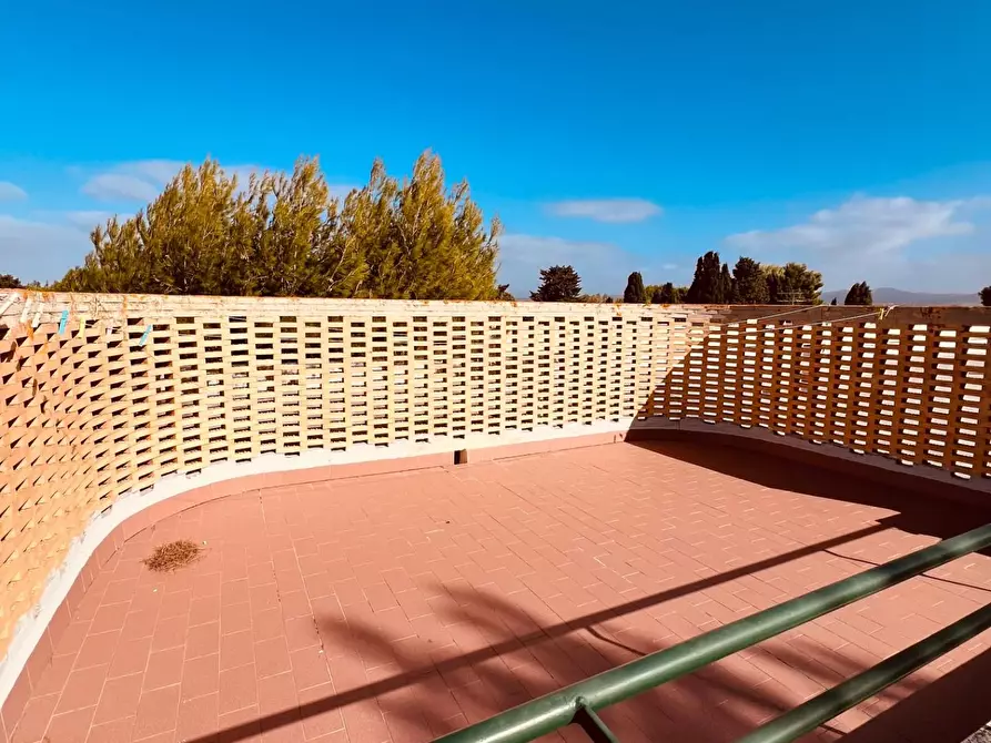 Immagine 14 di Appartamento in vendita  a Bibbona