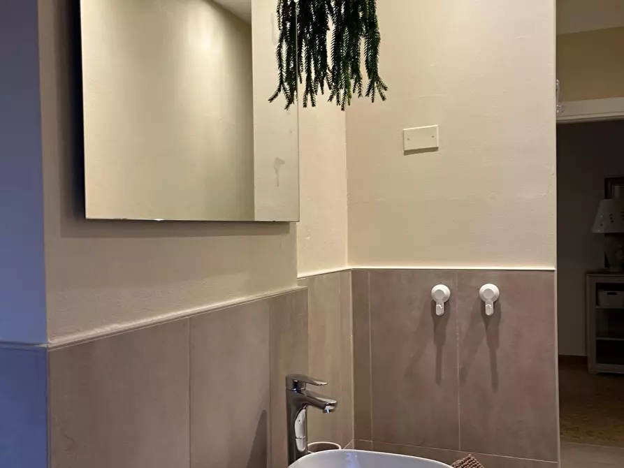 Immagine 18 di Appartamento in affitto  a Pisa